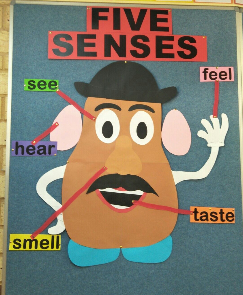 5 Senses Activity With Mr Potato Head Free Printable Artofit