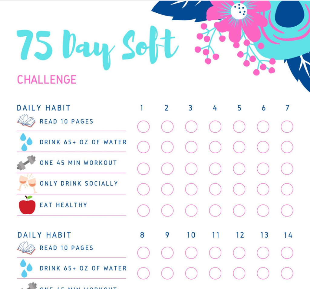 75 Soft Easy Challenge Habit Tracker Digital Download Printable 
