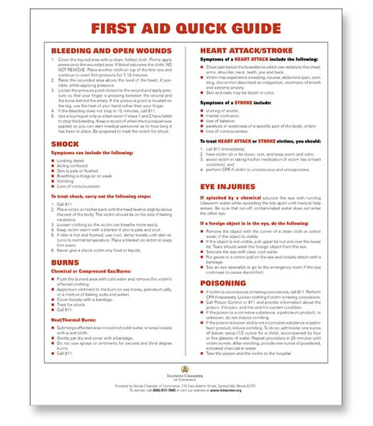 First Aid Guide Printable