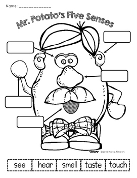 Five Senses With Mr And Mrs Potato Head TpT