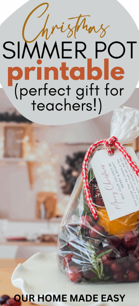 Free Christmas Simmer Pot Printable Gift Idea Artofit