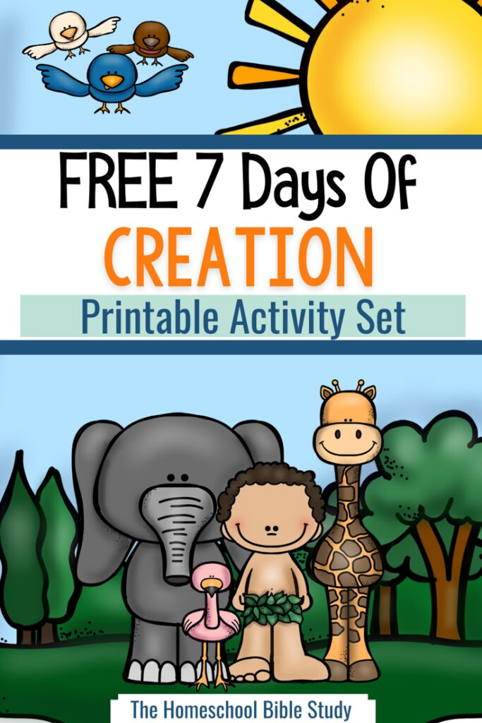 FREE Printable 7 Days Of Creation Activity Bible Activities For 