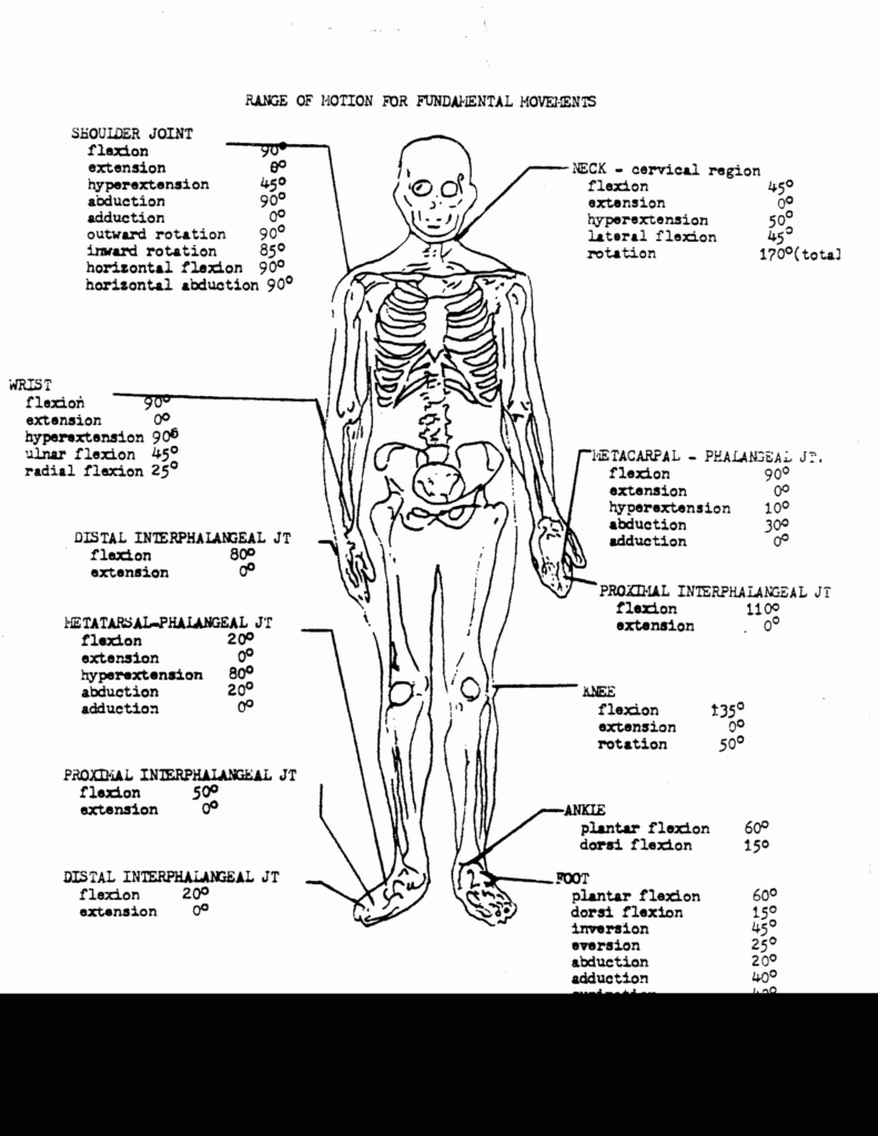 Free Printable Anatomy And Physiology Anatomy Worksheets