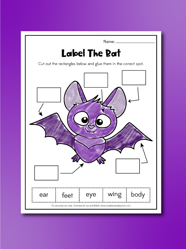 Free Printable Bat Worksheets For Kids
