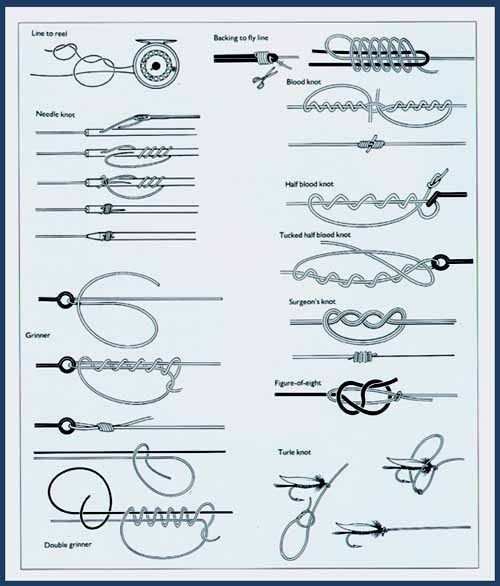Free Printable Fishing Knot Cards
