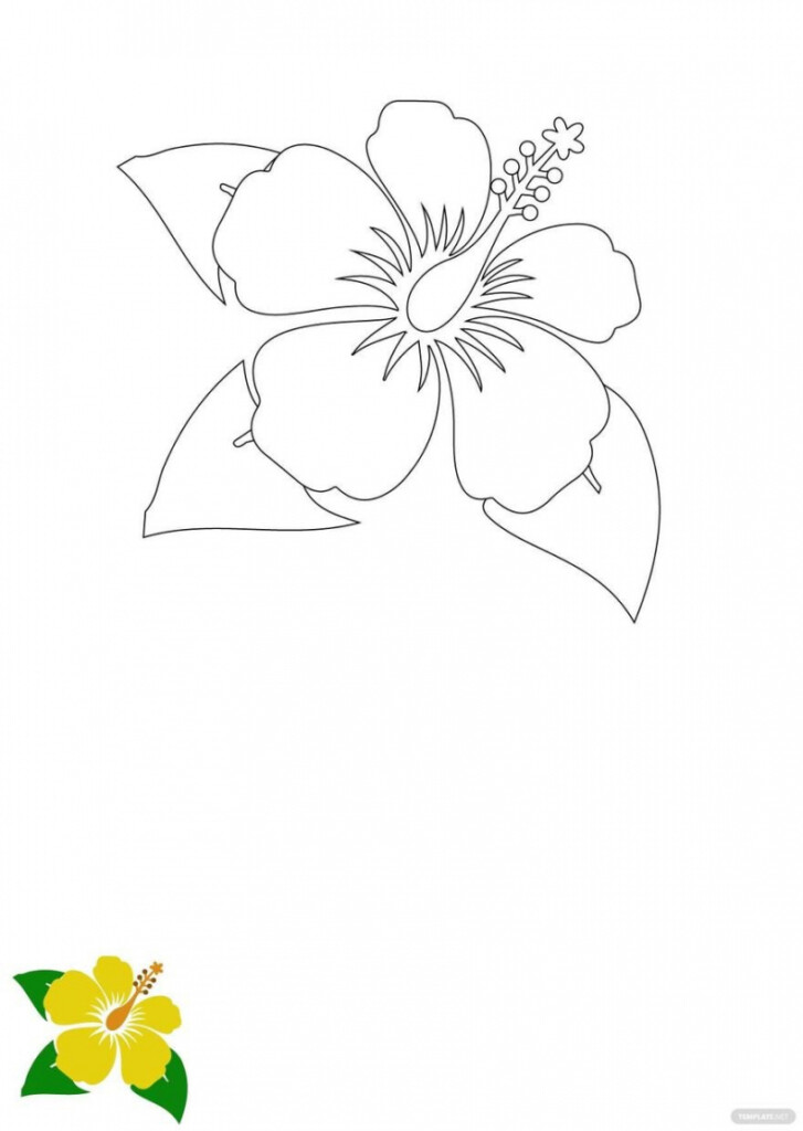 Free Printable Hibiscus Flower Template FREE Printable HQ