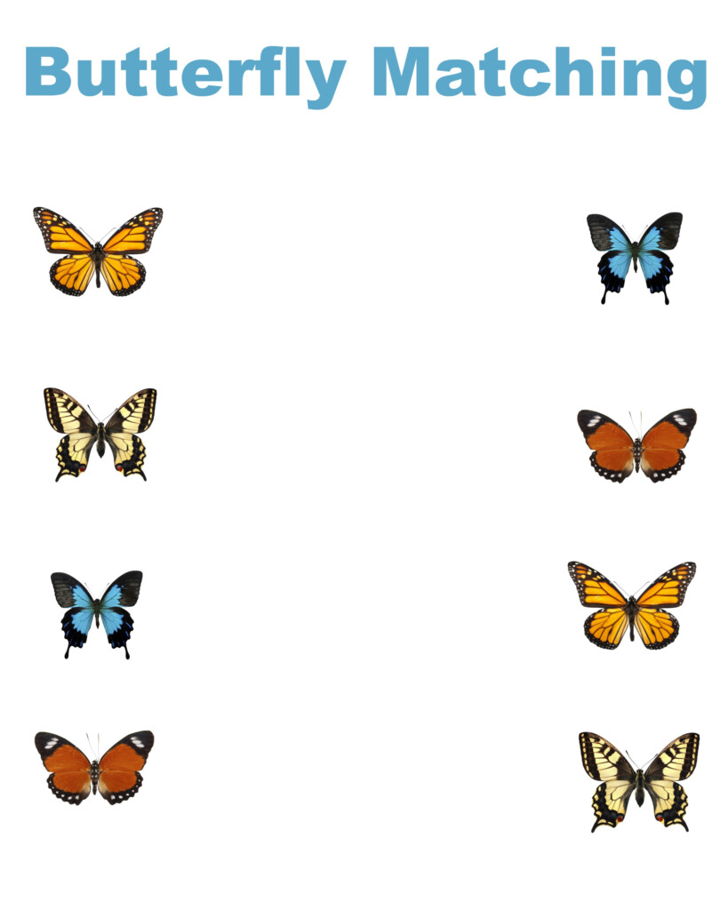 Free Printable Matching Worksheets