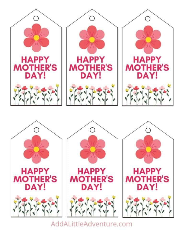 Mother 39 s Day Tags Free Printables Add A Little Adventure