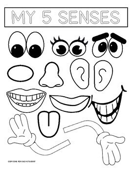 Mr Potato Head 5 Senses By Simply Elementry My Dear TPT