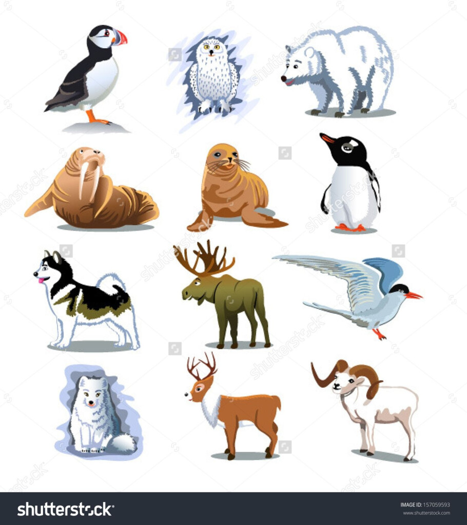 Printable Arctic Animals