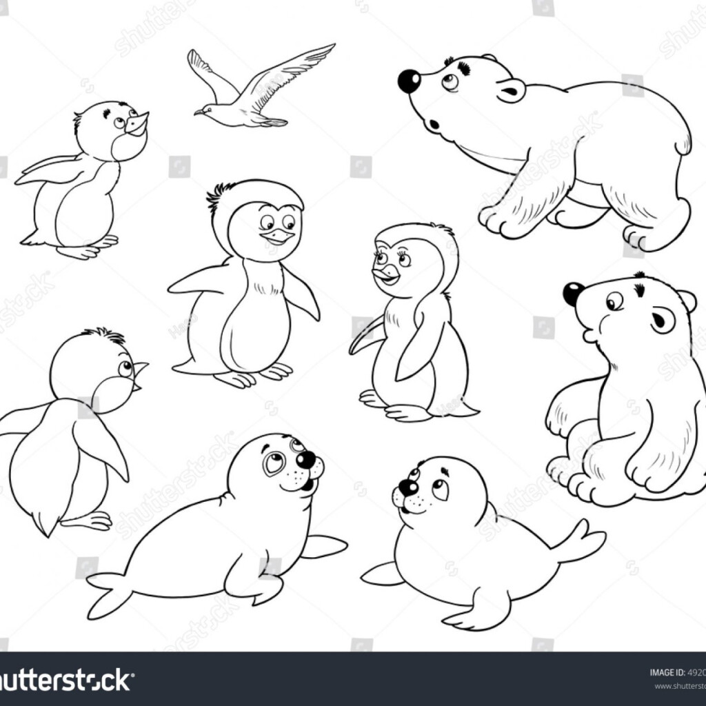 Printable Arctic Animals Coloring Pages