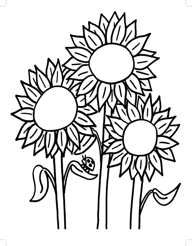 Printable Sunflower Coloring Pages Printable Word Searches