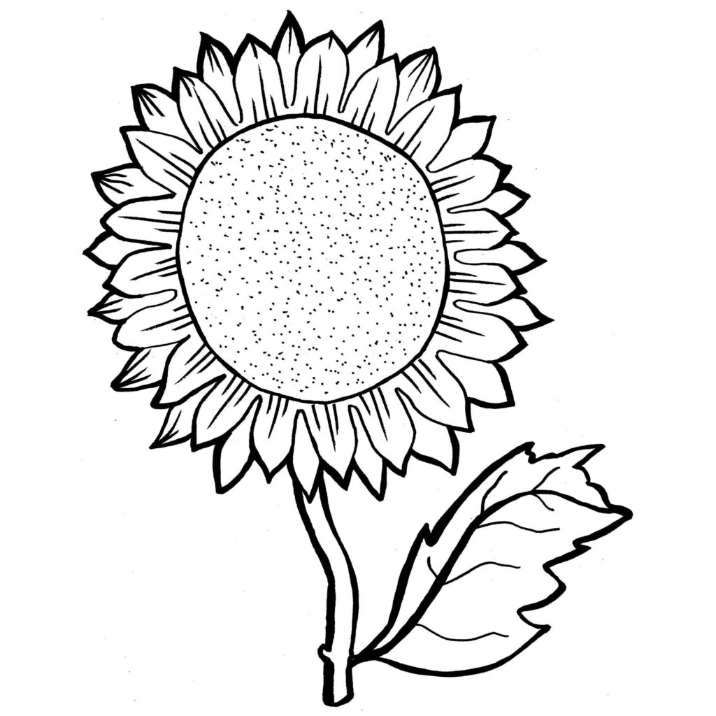 Sunflower Coloring Page At GetDrawings Free Download