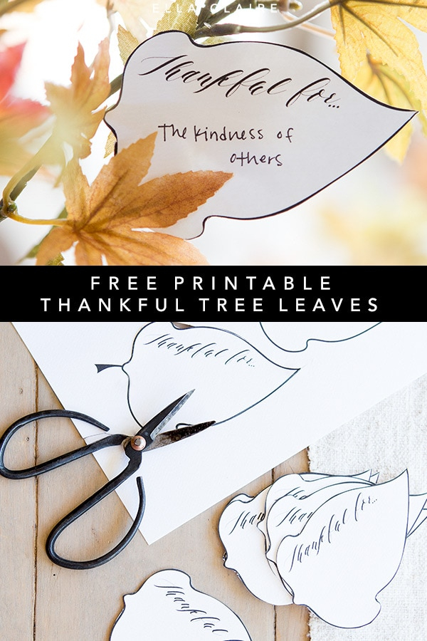 Thankful Leaves Free Printable