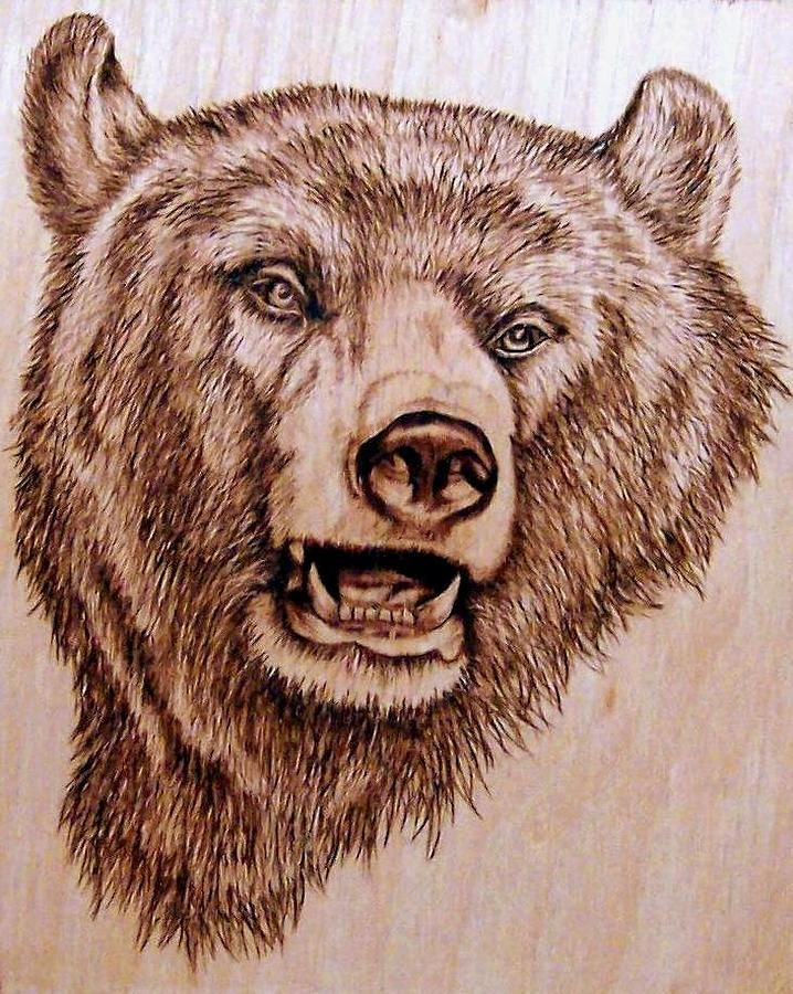 Traceable Free Printable Wildlife Wood Burning Patterns If You Are A 