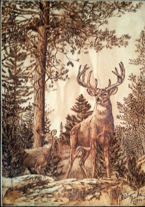 Traceable Free Printable Wildlife Wood Burning Patterns Printable And 